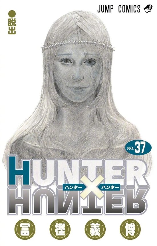 《全职猎人》第37卷封面公开 11月4日正式发售-次元吧