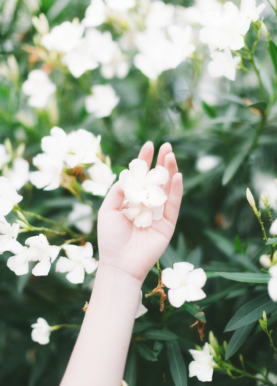 图片[12]-二次元COS分享花与少女君-二次元COS分享次元吧