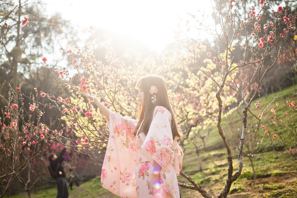 图片[2]-二次元COS分享桃花。和服-二次元COS分享次元吧