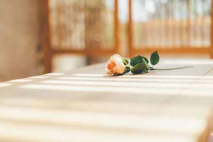 图片[7]-二次元COS分享夏至已至-二次元COS分享次元吧