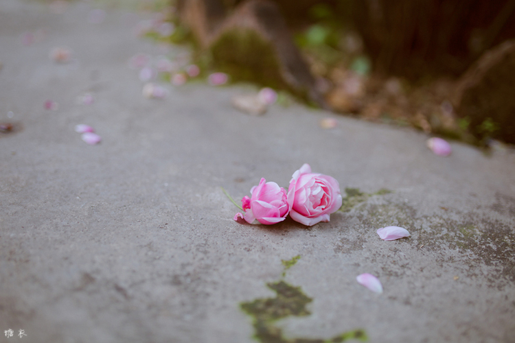 图片[14]-二次元COS分享白兔糖。-二次元COS分享次元吧