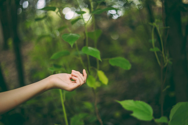 图片[8]-二次元COS分享绿野仙踪-二次元COS分享次元吧