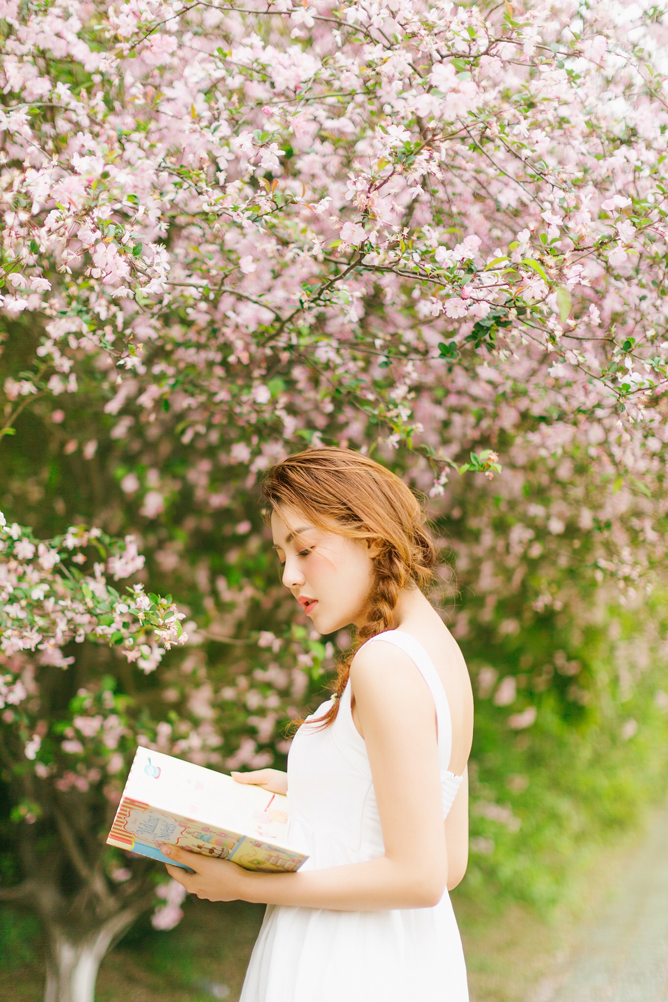 图片[13]-二次元COS分享听花开的声音-二次元COS分享次元吧