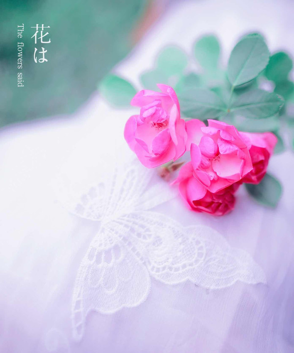 图片[6]-二次元COS分享花儿说-二次元COS分享次元吧