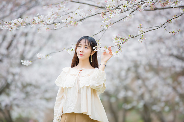 图片[14]-二次元COS分享三生三世，百里樱花-二次元COS分享次元吧