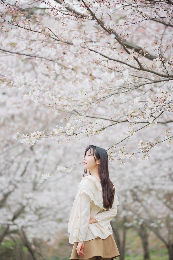 图片[18]-二次元COS分享三生三世，百里樱花-二次元COS分享次元吧