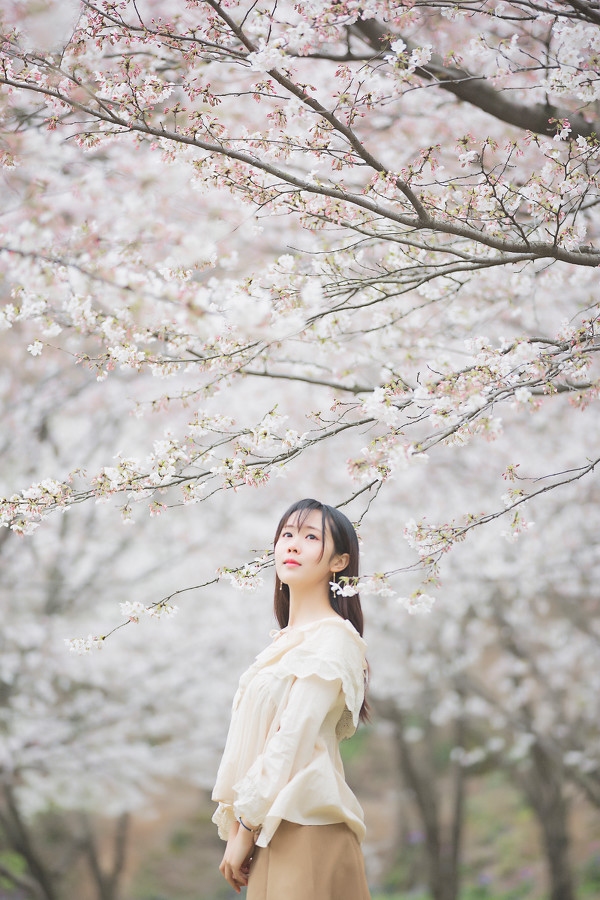 图片[8]-二次元COS分享三生三世，百里樱花-二次元COS分享次元吧