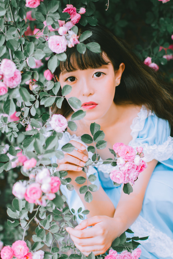 图片[2]-二次元COS分享少女和蔷薇-二次元COS分享次元吧