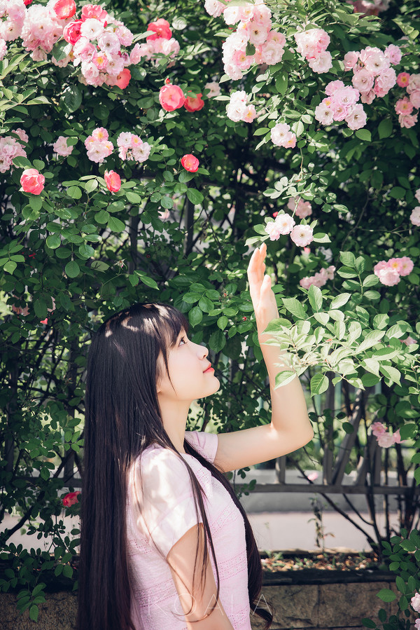 图片[8]-二次元COS分享Blooming rose-二次元COS分享次元吧