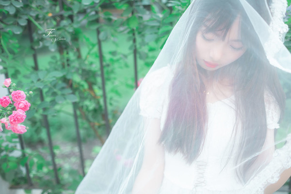 图片[13]-二次元COS分享蔷薇花开-二次元COS分享次元吧