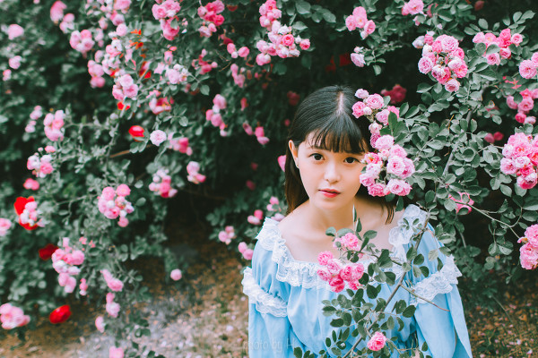 图片[7]-二次元COS分享少女和蔷薇-二次元COS分享次元吧