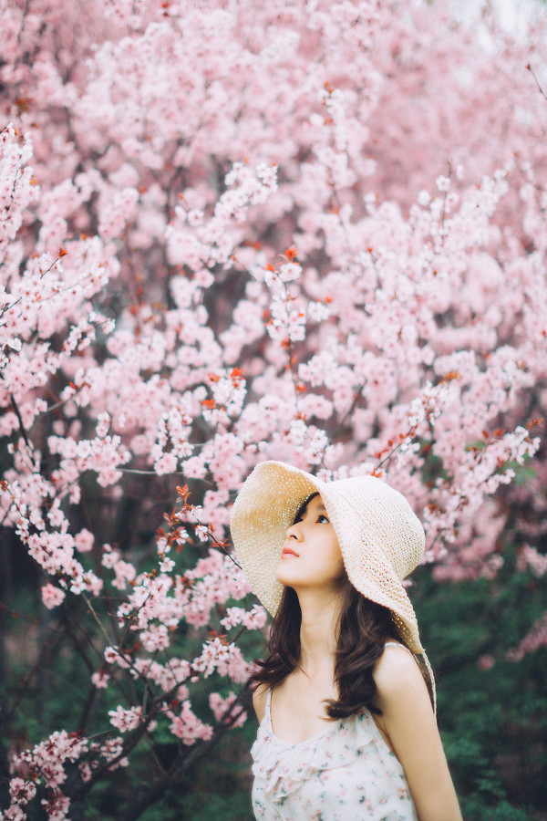 图片[15]-二次元COS分享你的花海-二次元COS分享次元吧