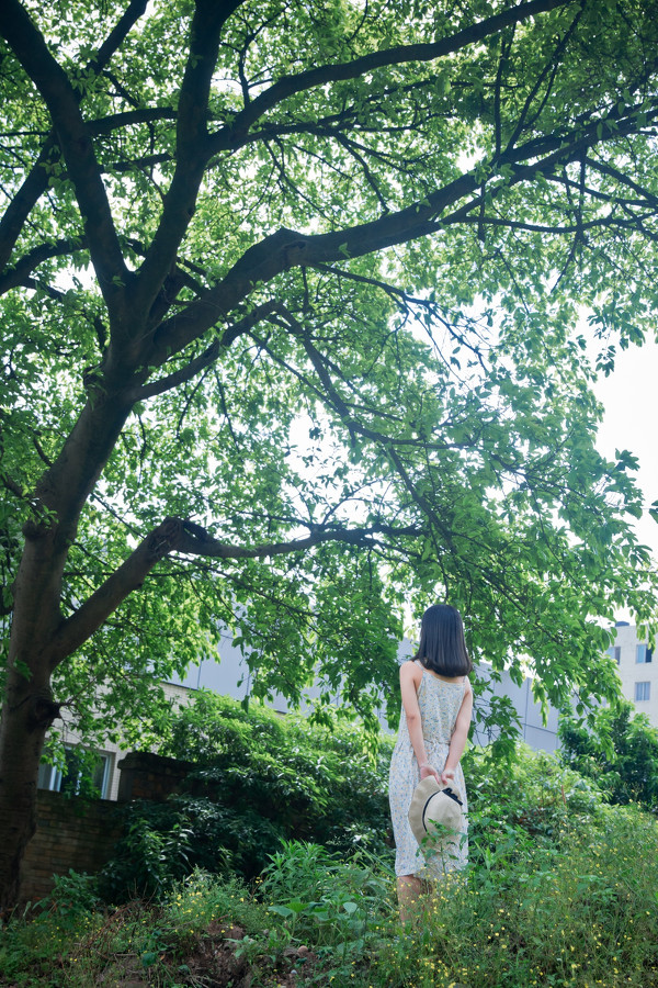 图片[12]-二次元COS分享花与少女-二次元COS分享次元吧