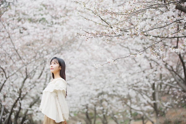 图片[19]-二次元COS分享三生三世，百里樱花-二次元COS分享次元吧