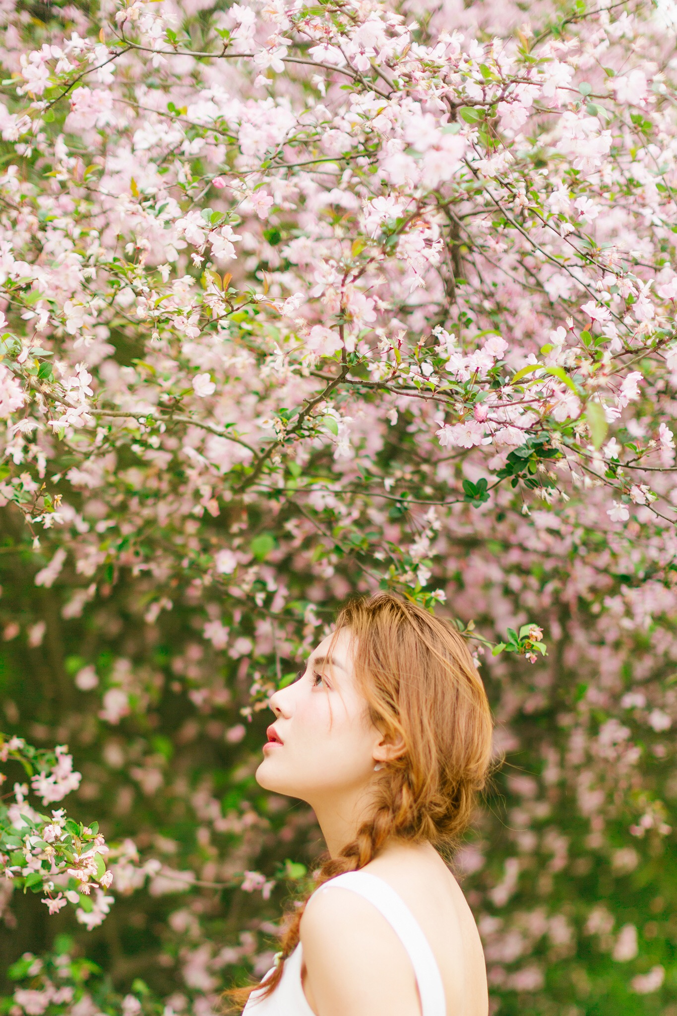 图片[15]-二次元COS分享听花开的声音-二次元COS分享次元吧