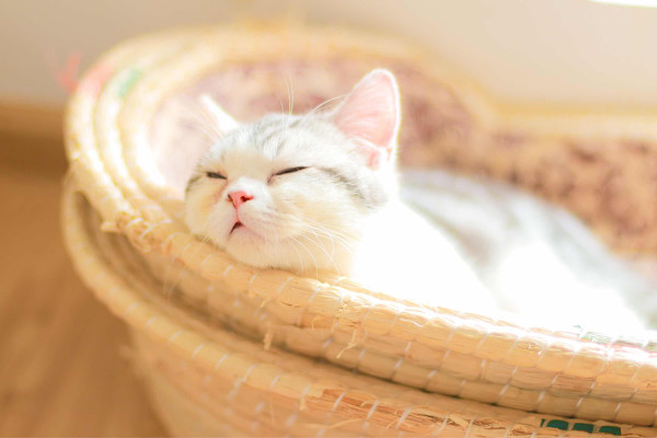 图片[5]-二次元COS分享喜欢你-二次元COS分享次元吧