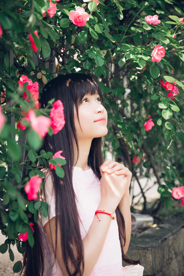 图片[13]-二次元COS分享Blooming rose-二次元COS分享次元吧