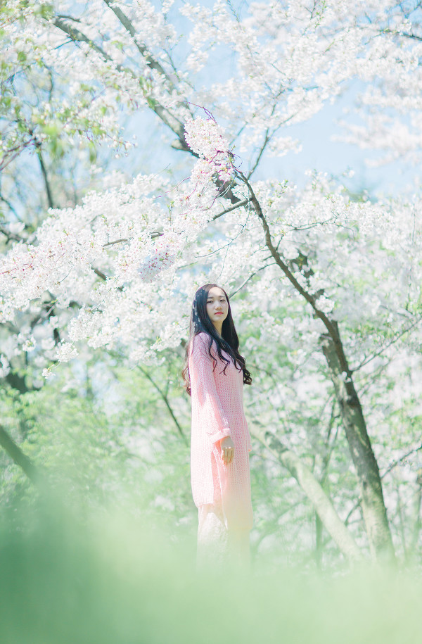 图片[8]-二次元COS分享樱花再见-二次元COS分享次元吧