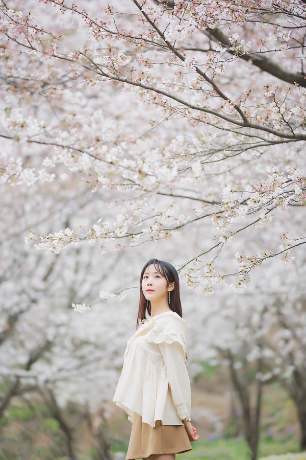图片[20]-二次元COS分享三生三世，百里樱花-二次元COS分享次元吧