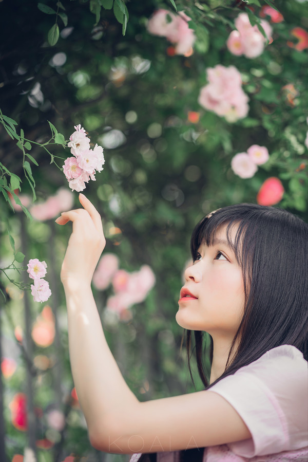 图片[14]-二次元COS分享Blooming rose-二次元COS分享次元吧