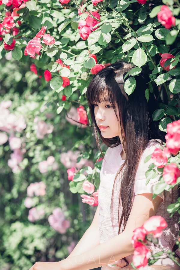 图片[17]-二次元COS分享Blooming rose-二次元COS分享次元吧