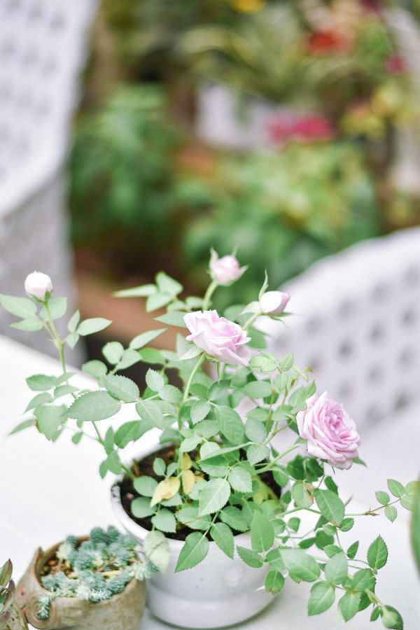 图片[7]-二次元COS分享花房光阴-二次元COS分享次元吧