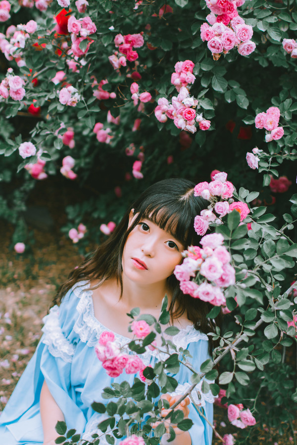 图片[5]-二次元COS分享少女和蔷薇-二次元COS分享次元吧