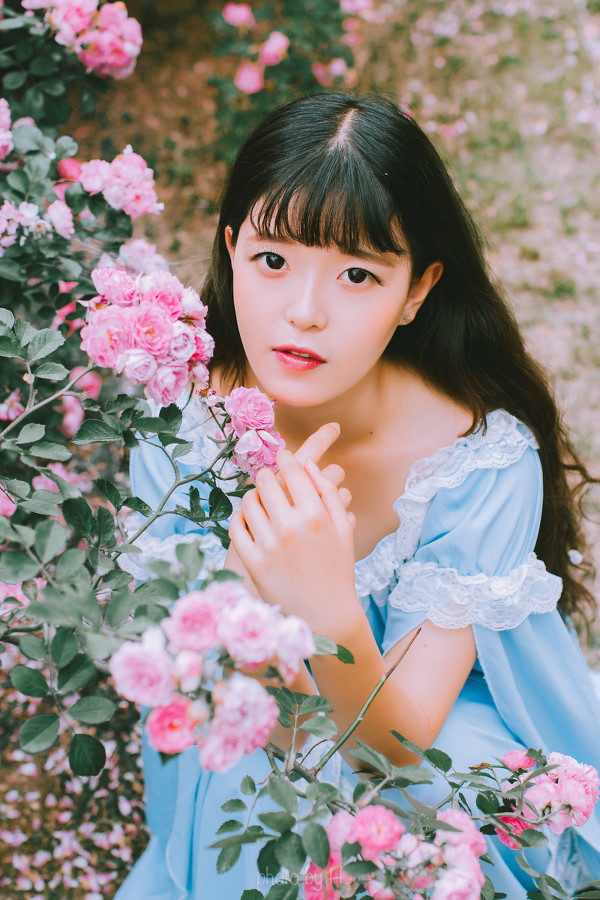 图片[6]-二次元COS分享少女和蔷薇-二次元COS分享次元吧