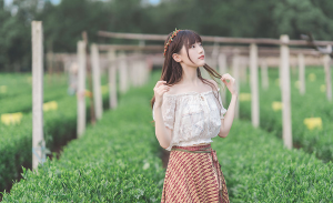 记忆里的夏天-二次元COS分享次元吧