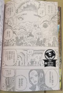 《海贼王》1066话情报：罗宾再次落泪 贝加庞克登场-二次元COS分享次元吧