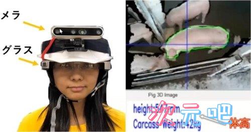 图片[2]-二次元COS分享为什么《七龙珠》角色战斗力太高史考特会爆炸？官方找了工学专家解释-二次元COS分享次元吧