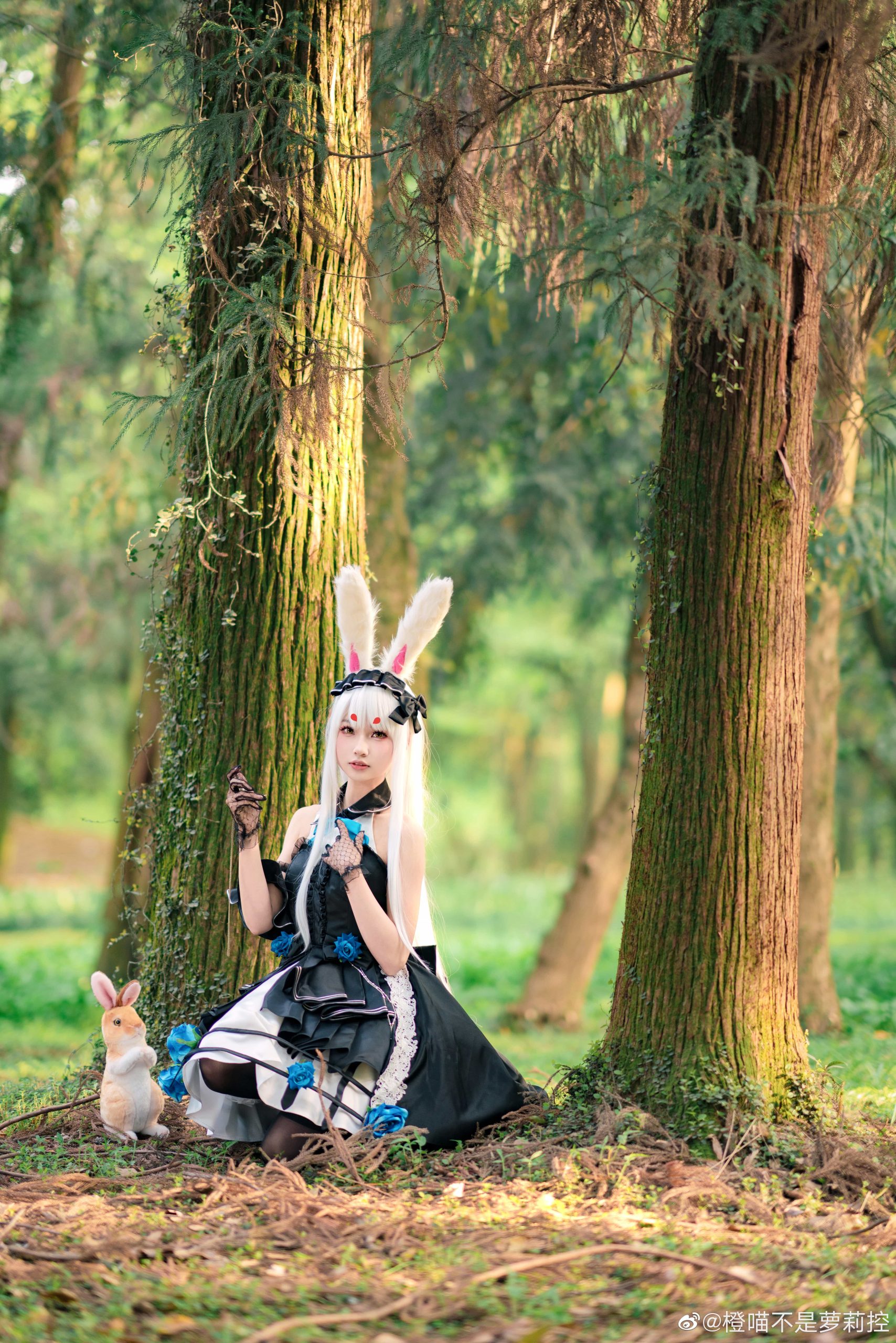 图片[7]-二次元COS分享[COS]碧蓝航线 仔细想想，芒不是爱丽丝而是怀表兔呢！会迷路误入这里不是很奇怪吗？？-二次元COS分享次元吧