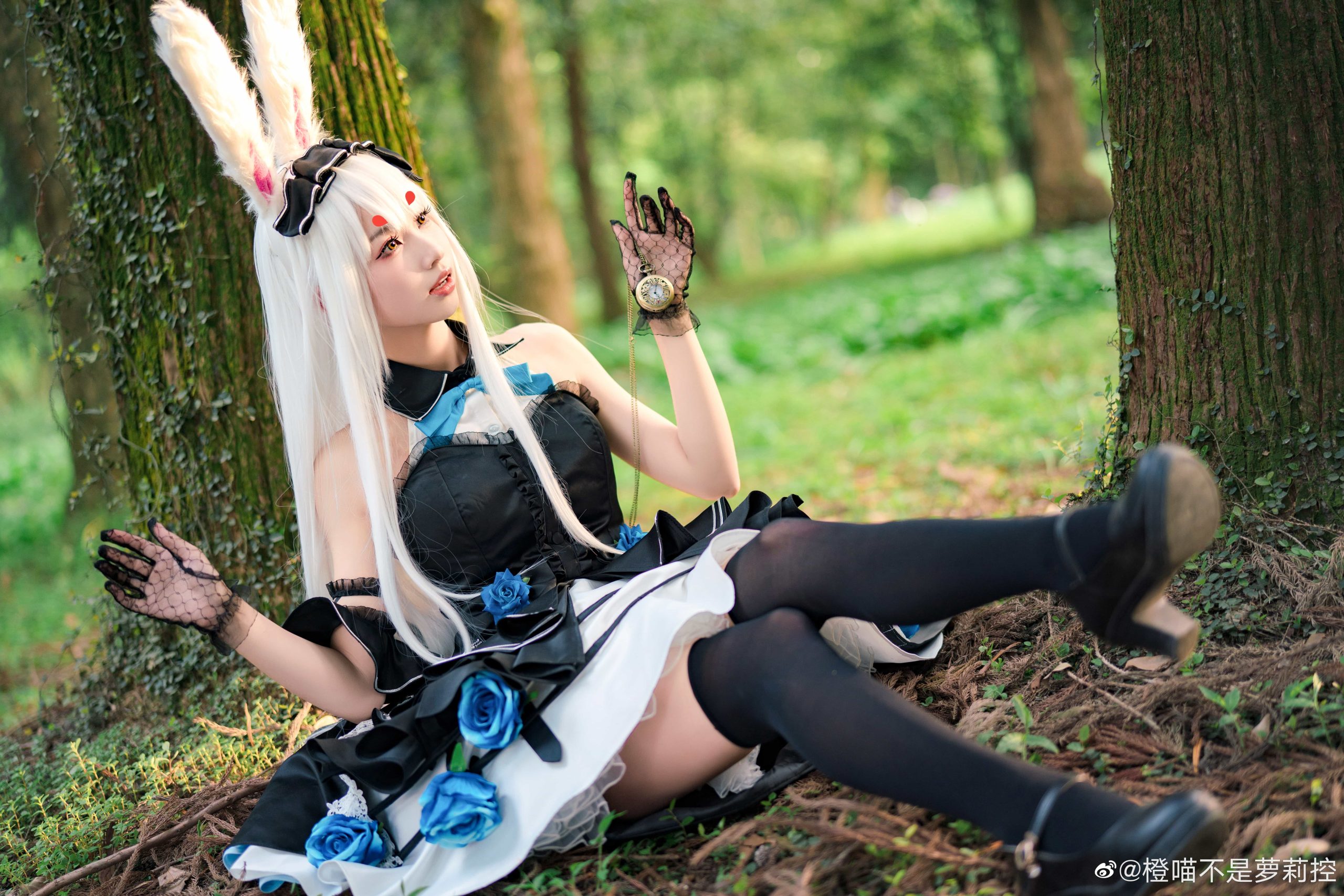 图片[13]-二次元COS分享[COS]碧蓝航线 仔细想想，芒不是爱丽丝而是怀表兔呢！会迷路误入这里不是很奇怪吗？？-二次元COS分享次元吧
