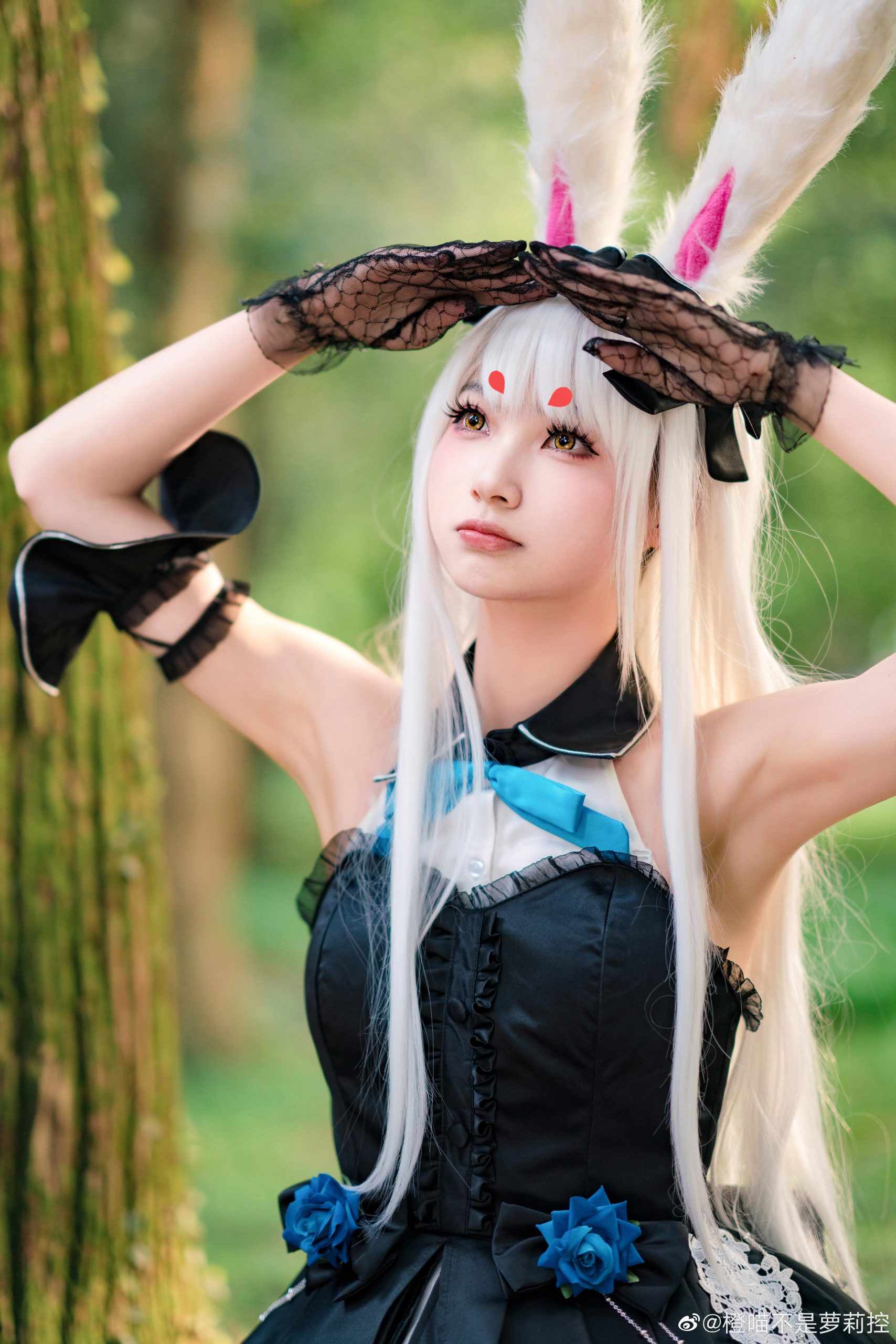图片[5]-二次元COS分享[COS]碧蓝航线 仔细想想，芒不是爱丽丝而是怀表兔呢！会迷路误入这里不是很奇怪吗？？-二次元COS分享次元吧