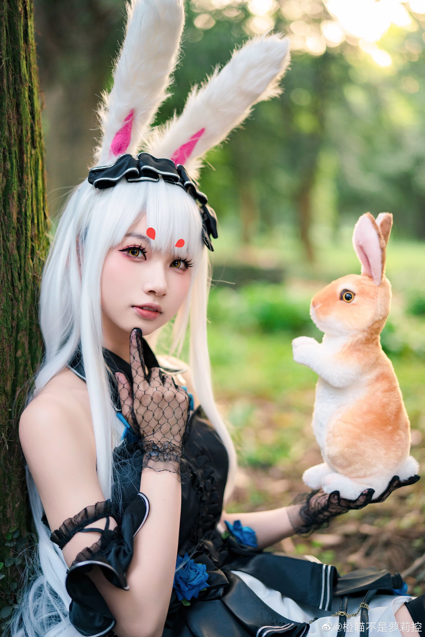 图片[10]-二次元COS分享[COS]碧蓝航线 仔细想想，芒不是爱丽丝而是怀表兔呢！会迷路误入这里不是很奇怪吗？？-二次元COS分享次元吧
