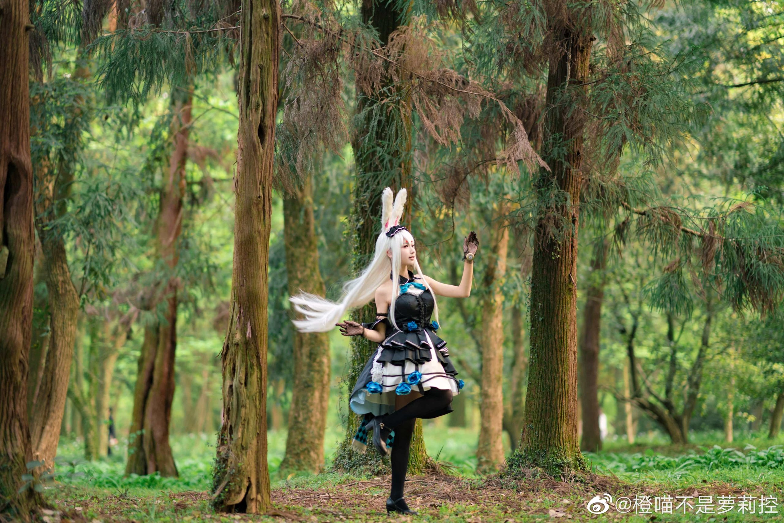 图片[14]-二次元COS分享[COS]碧蓝航线 仔细想想，芒不是爱丽丝而是怀表兔呢！会迷路误入这里不是很奇怪吗？？-二次元COS分享次元吧