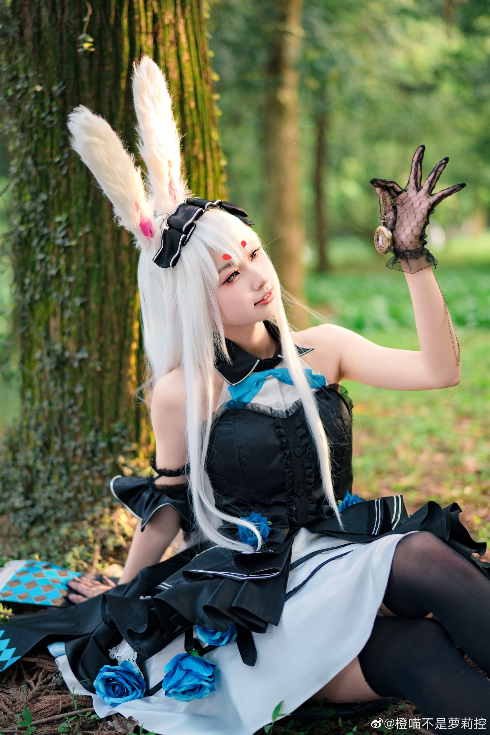 图片[11]-二次元COS分享[COS]碧蓝航线 仔细想想，芒不是爱丽丝而是怀表兔呢！会迷路误入这里不是很奇怪吗？？-二次元COS分享次元吧