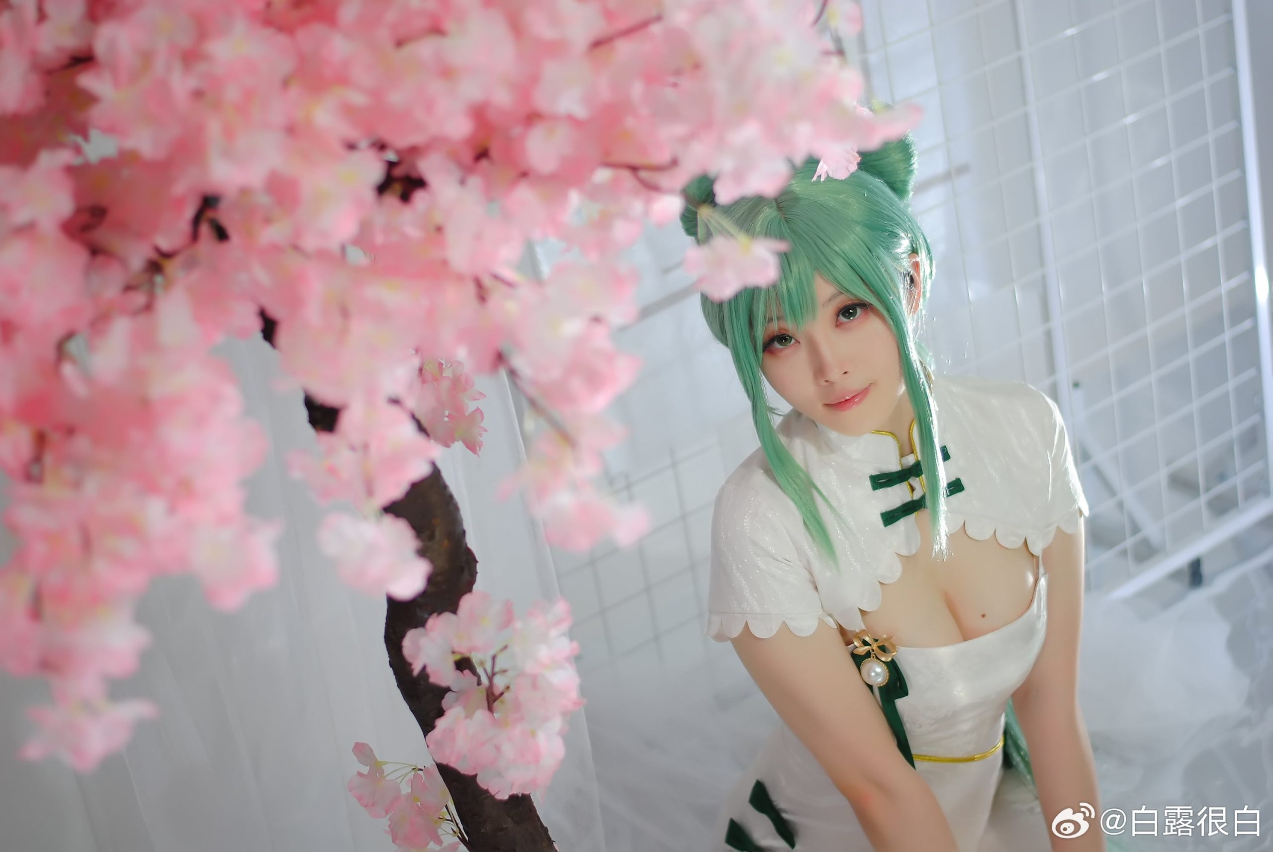 图片[1]-二次元COS分享[COSplay]初音旗袍-二次元COS分享次元吧