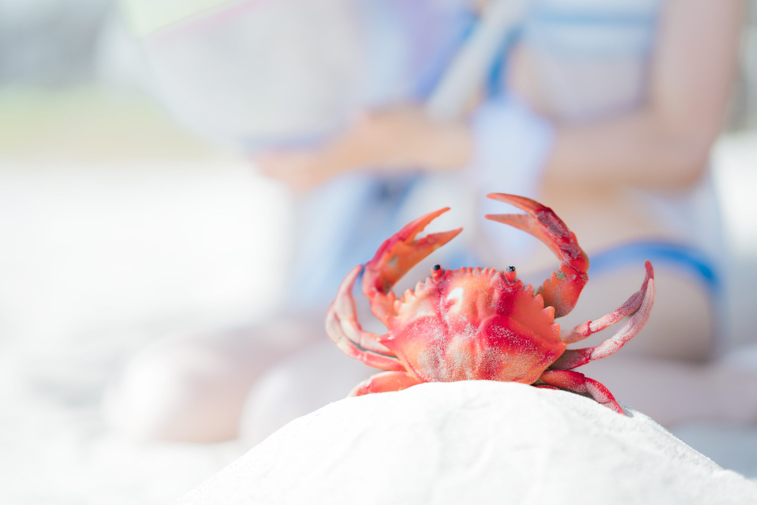 图片[2]-二次元COS分享[COSplay]碧蓝档案 和乐千世 泳装-二次元COS分享次元吧