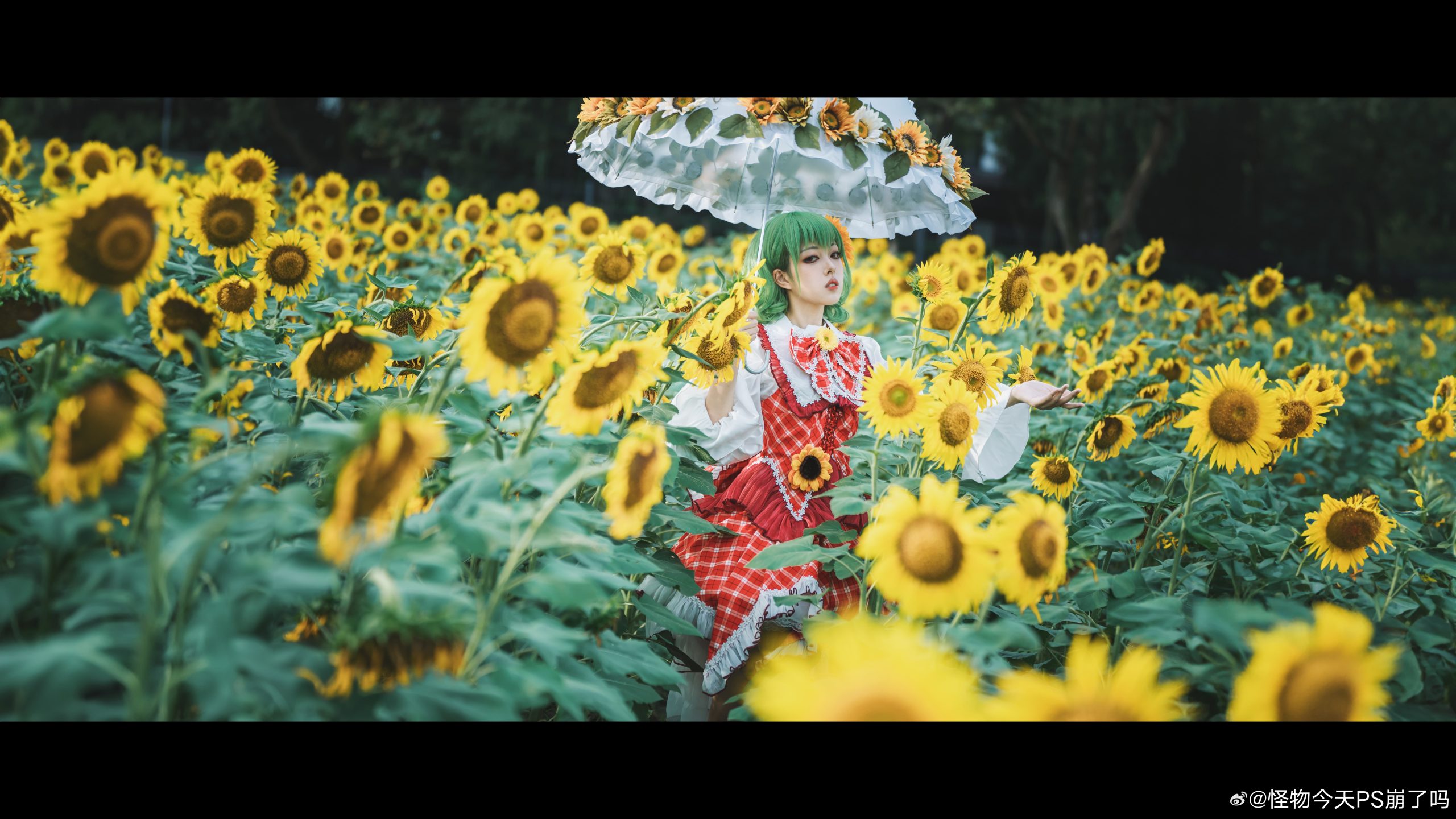 图片[8]-二次元COS分享[COSplay]四季的鲜花之主 | 风见幽香-二次元COS分享次元吧