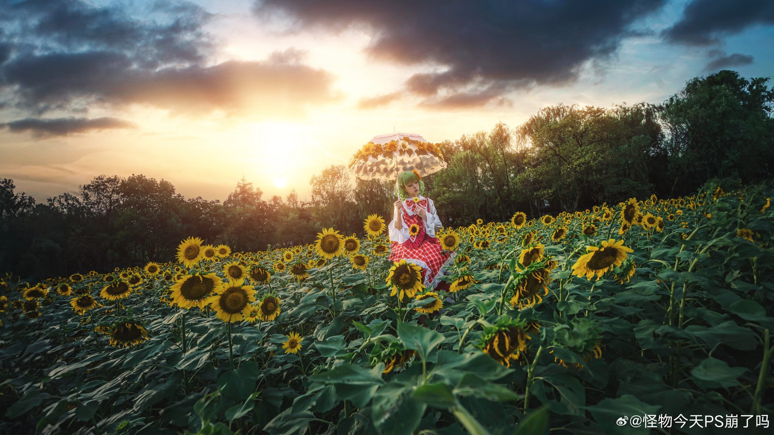 图片[7]-二次元COS分享[COSplay]四季的鲜花之主 | 风见幽香-二次元COS分享次元吧