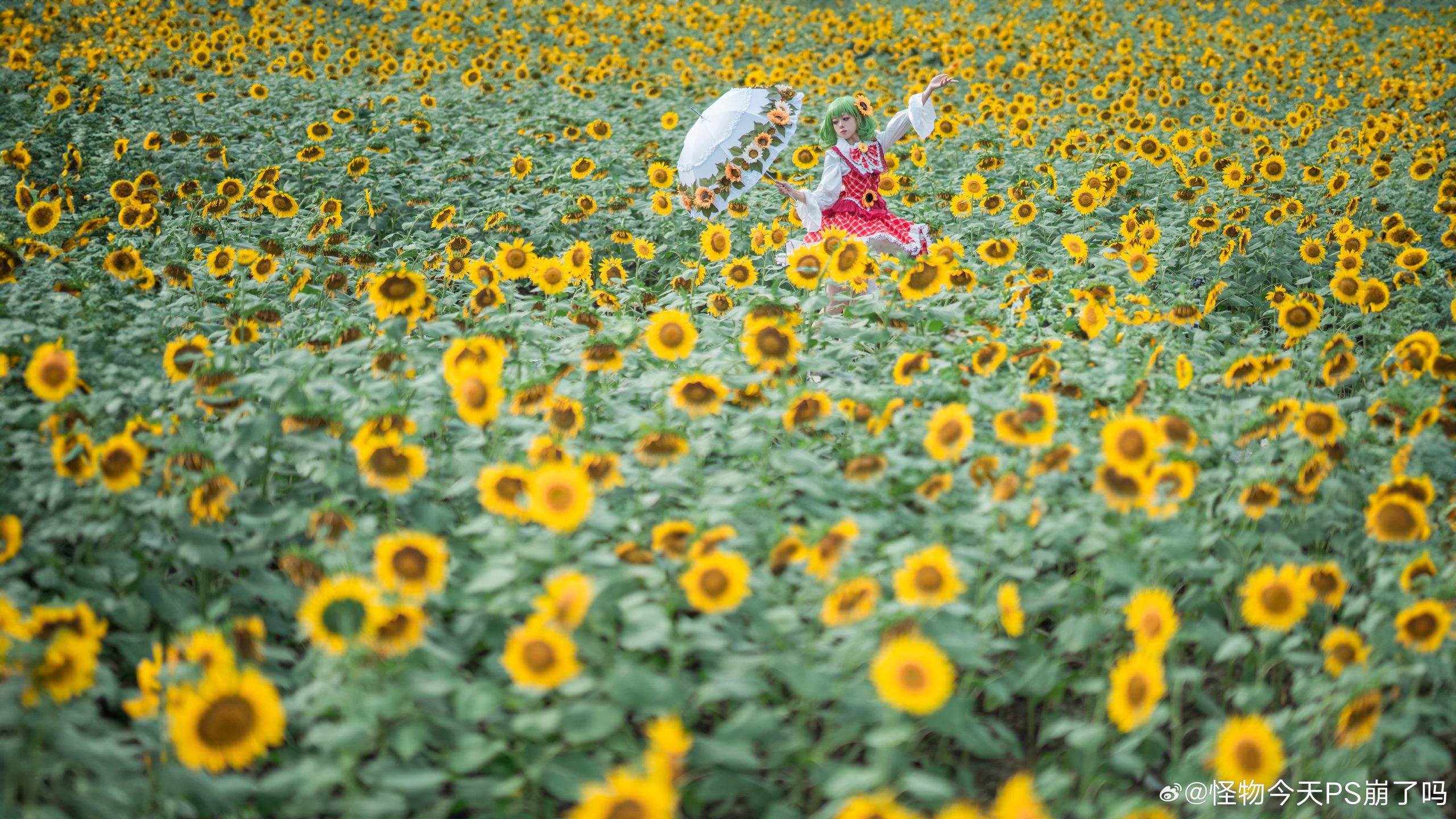图片[3]-二次元COS分享[COSplay]四季的鲜花之主 | 风见幽香-二次元COS分享次元吧