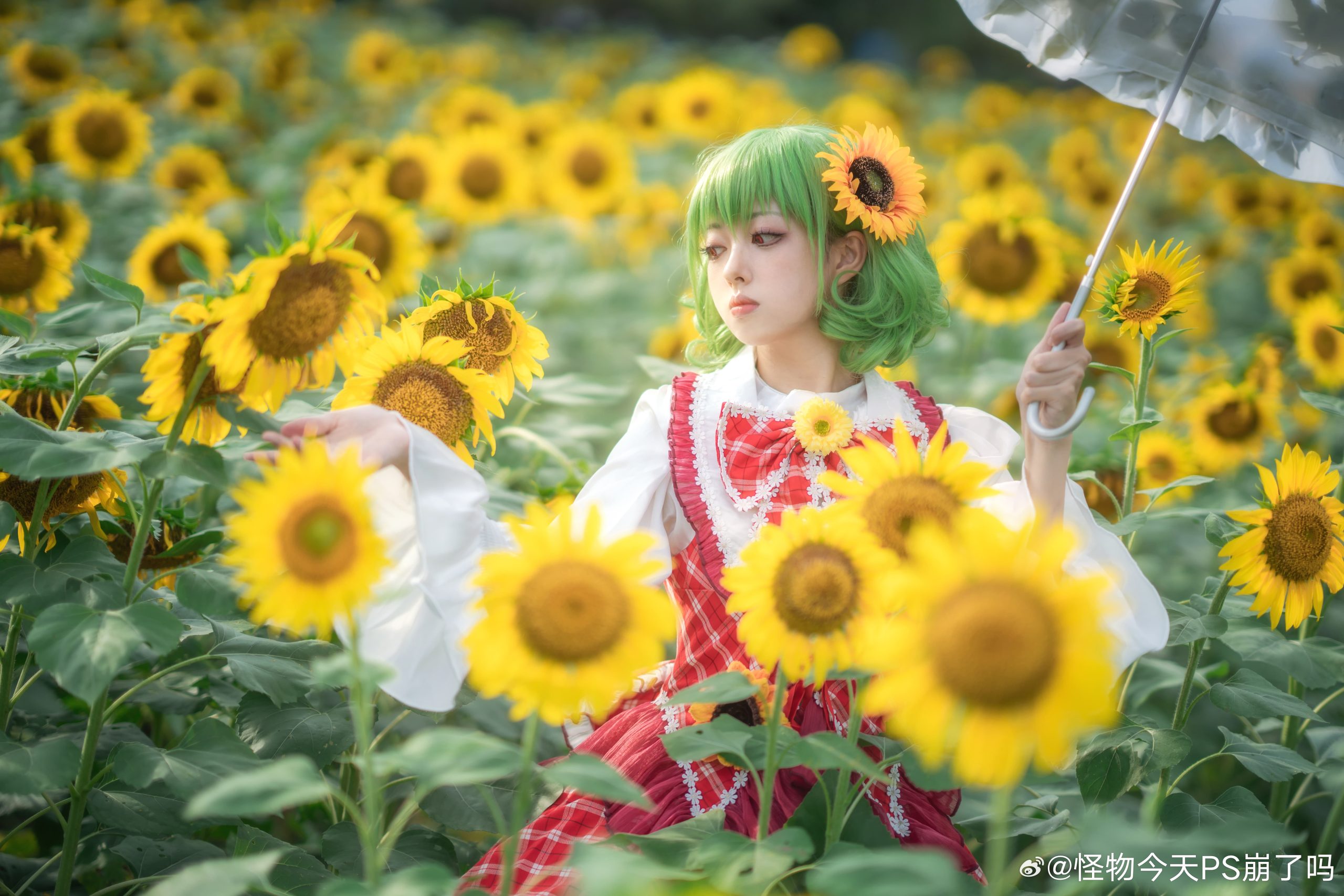 图片[9]-二次元COS分享[COSplay]四季的鲜花之主 | 风见幽香-二次元COS分享次元吧