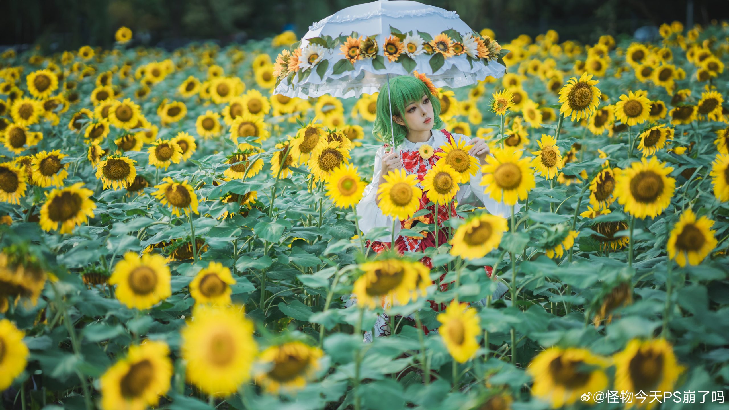 图片[6]-二次元COS分享[COSplay]四季的鲜花之主 | 风见幽香-二次元COS分享次元吧