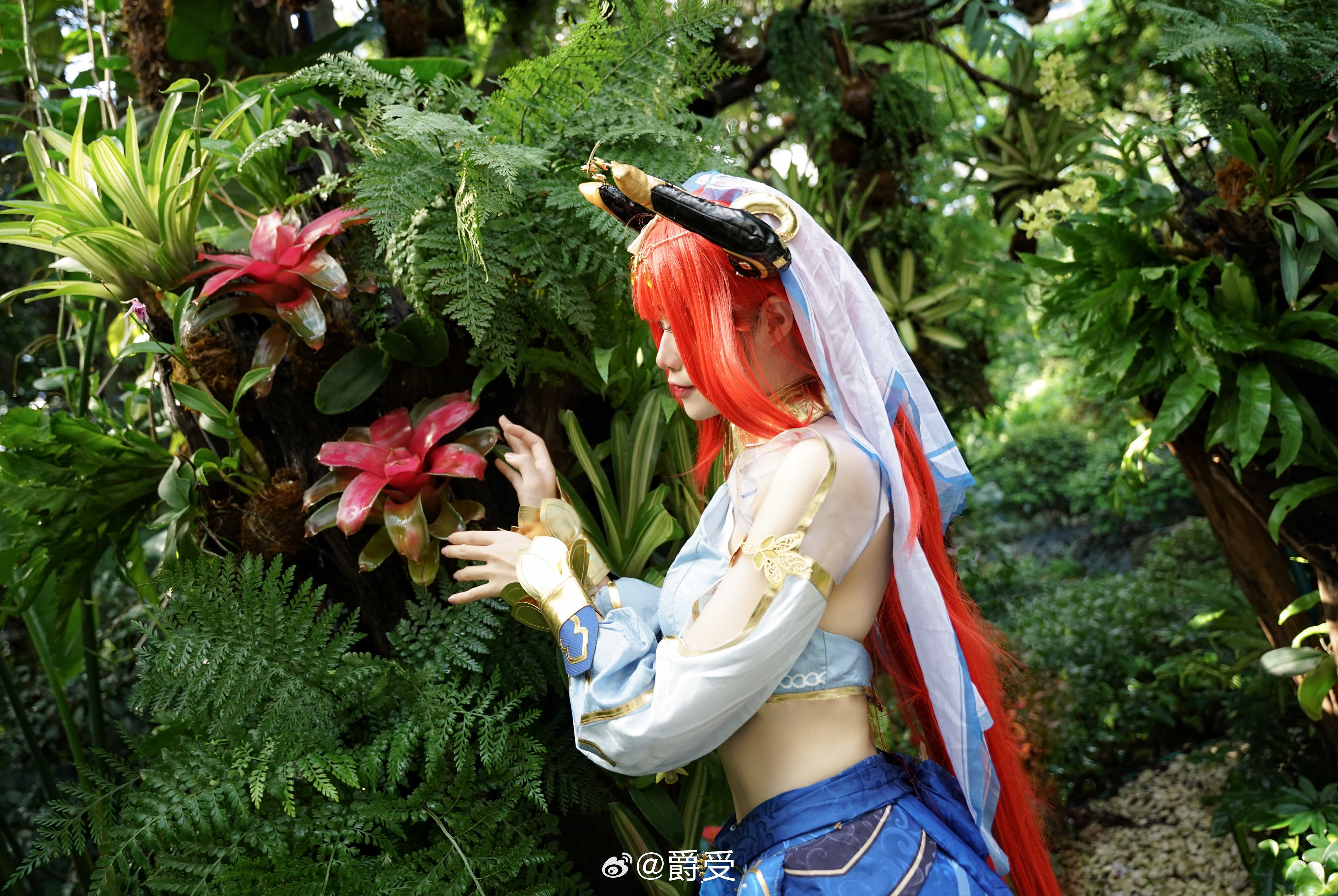 图片[3]-二次元COS分享[COSplay]原神 妮露-二次元COS分享次元吧