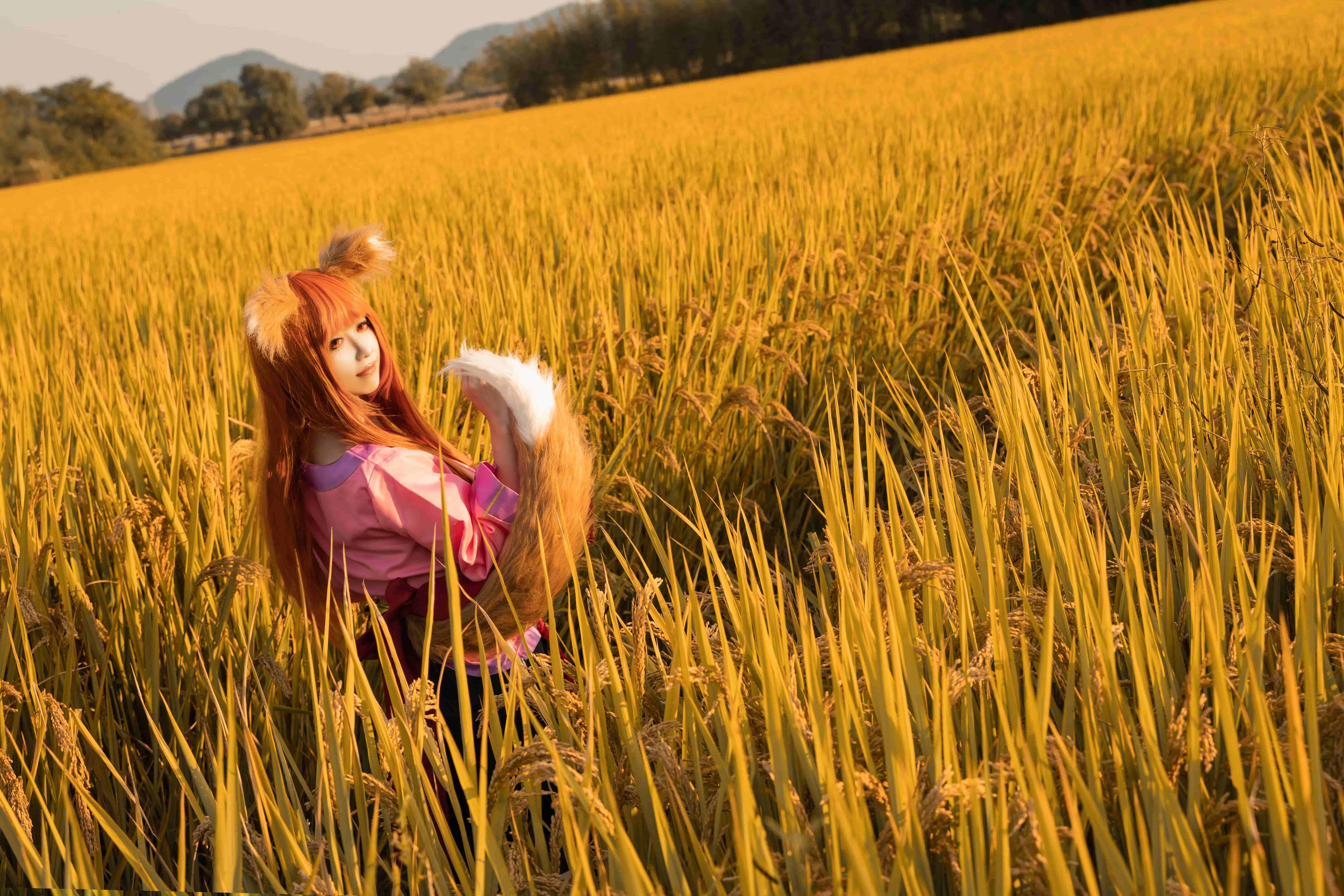 图片[1]-二次元COS分享[COSplay]狼与香辛料 赫萝-二次元COS分享次元吧