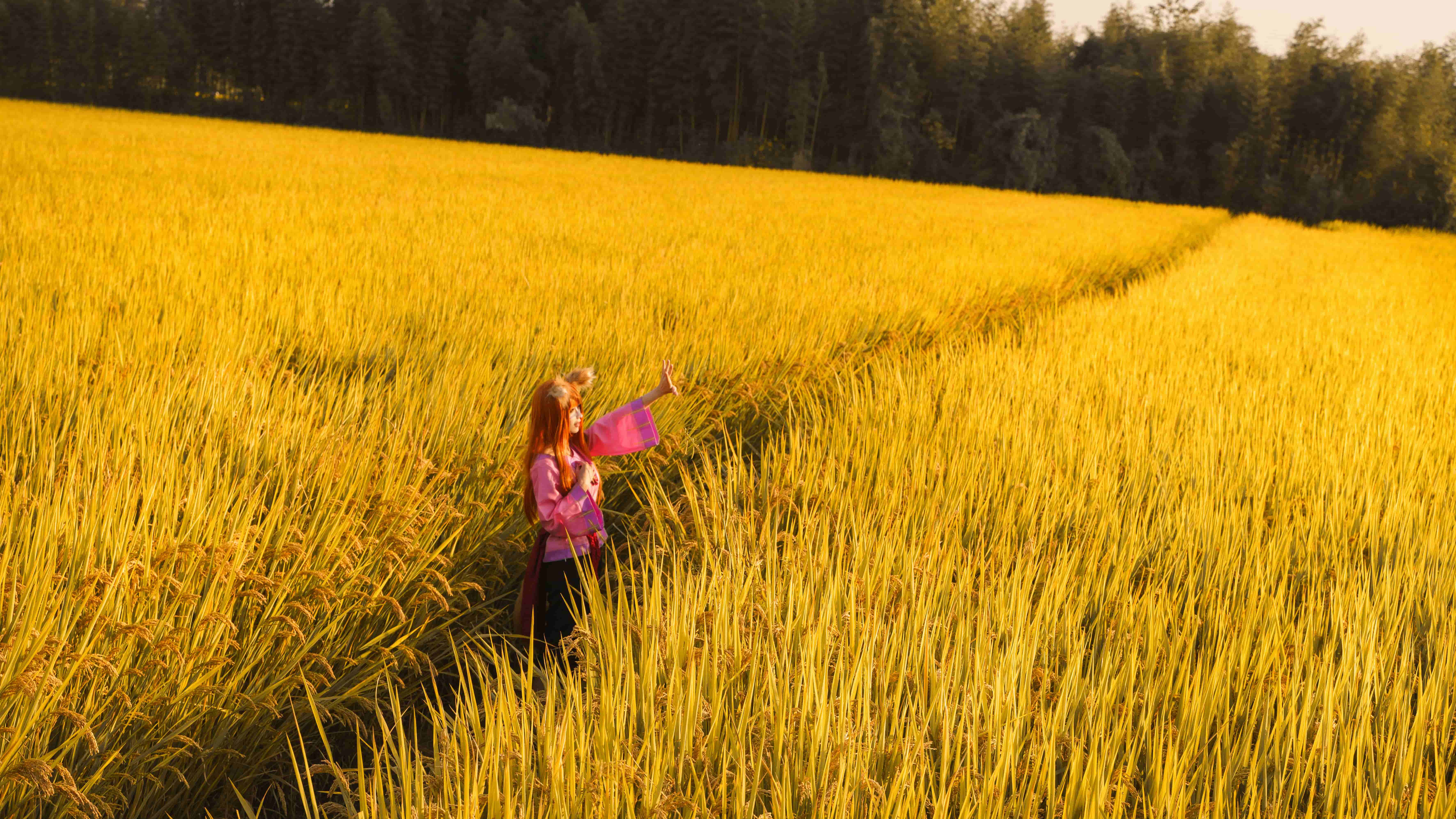 图片[2]-二次元COS分享[COSplay]狼与香辛料 赫萝-二次元COS分享次元吧