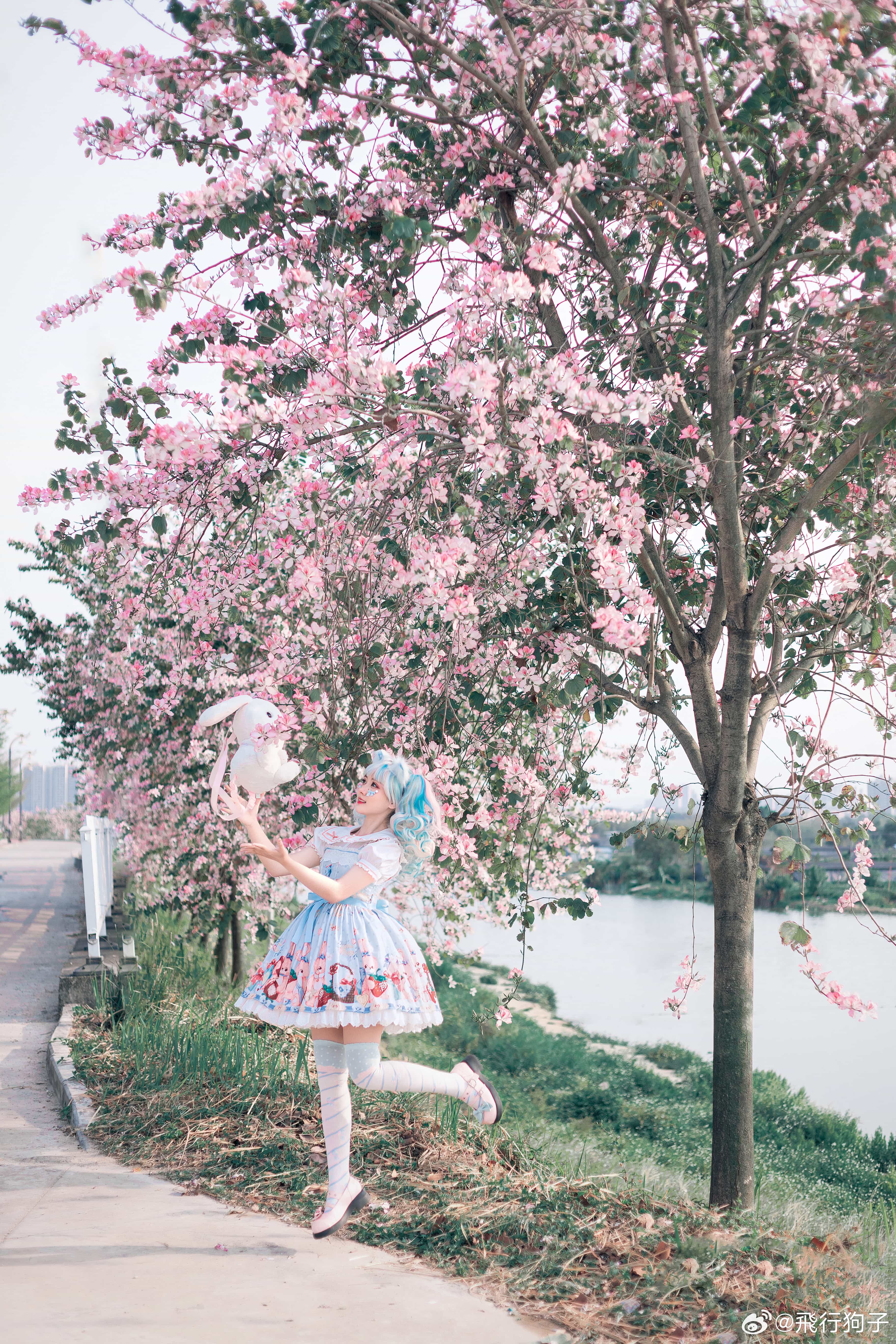 图片[5]-二次元COS分享[Lolita]春日影像诗-二次元COS分享次元吧