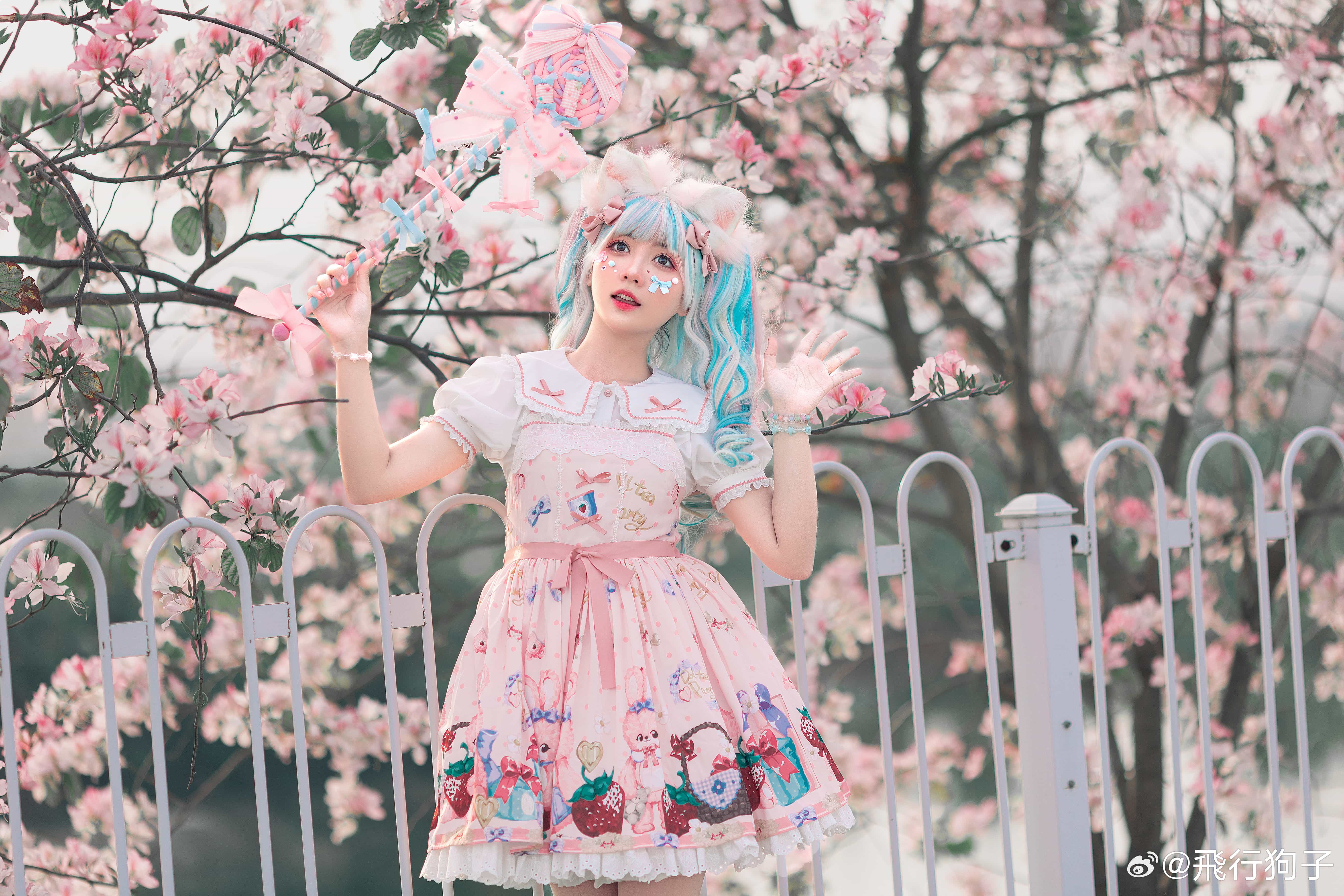 [Lolita]春日影像诗-二次元COS分享次元吧