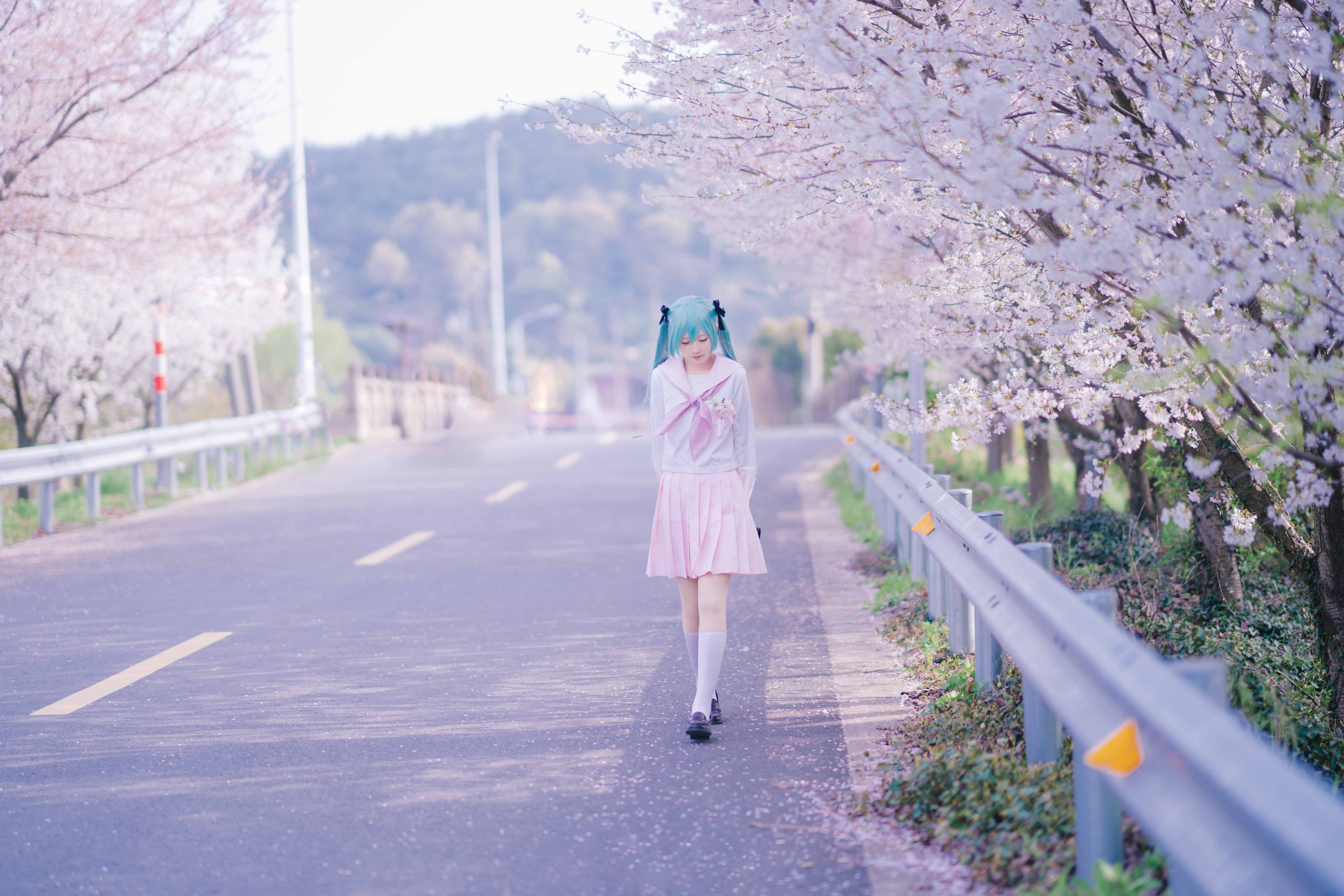 图片[7]-二次元COS分享[COSplay]初音未来  ❀～桜ノ雨～❀-二次元COS分享次元吧